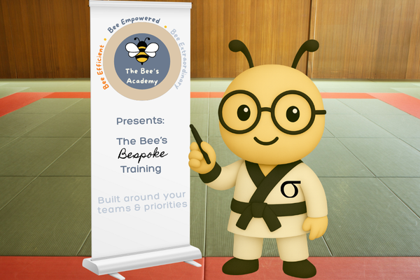 Bespoke training visual