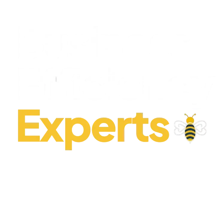Business Efficiency Experts