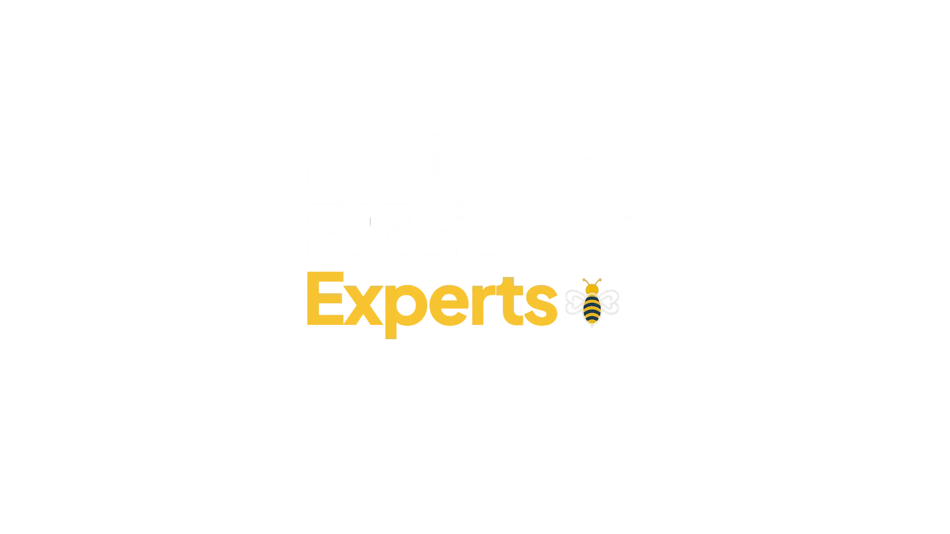 Business Efficiency Experts